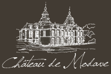 RÃ©sultat de recherche d'images pour "chateau de modave"